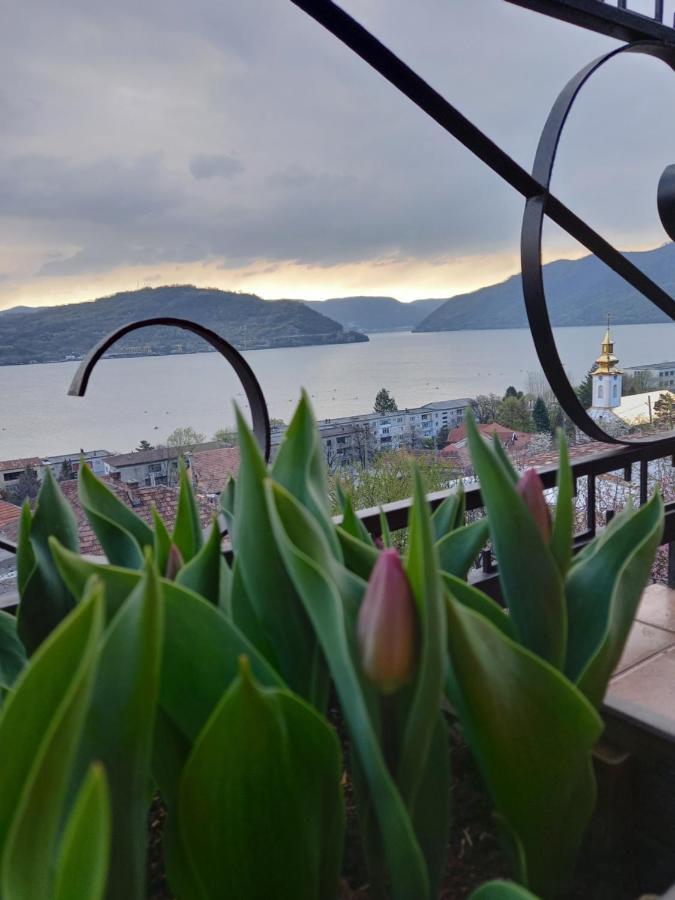 Casa Lui Marc Villa Orşova Buitenkant foto